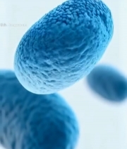  蓝色细菌微观素材(1)2919#竖屏 	 