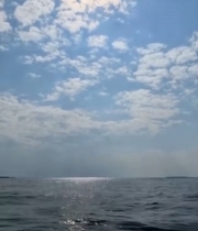  蓝天白云下的开阔水面景象7518#竖屏 	 