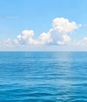  蓝天白云下的平静海面(1)5063#竖屏 	 