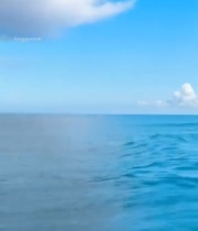  蓝天白云下的海面风景587#竖屏 	 