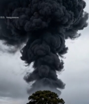  旷野中大树上方巨大黑色烟雾7361#竖屏 	 