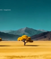  旷野双树远山风景素材1100#竖屏 	 