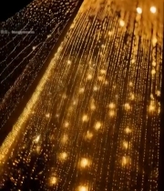  金色粒子动态背景素材4219#竖屏 	 