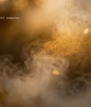  金色粒子烟雾效果4716#竖屏 	 