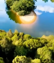  河流中的绿树小岛俯瞰7375#竖屏 	 