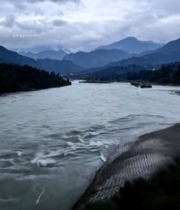  海洋中鲨鱼与鱼群的景象1094#竖屏 	 