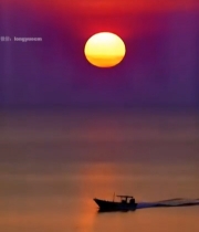  海上日落景象1491#竖屏 	 