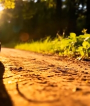  户外林间人物慢跑画面3732#竖屏 	 