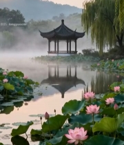  湖畔古亭荷花晨景5418#竖屏 	 
