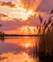  湖畔日落自然风光(1)6197#竖屏 	 