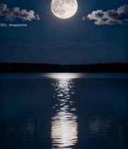  湖面夜空月亮全景7253#竖屏 	 