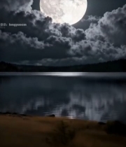  湖面夜空的满月景象453#竖屏 	 
