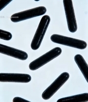  黑色胶囊微距特写素材4981#竖屏 	 