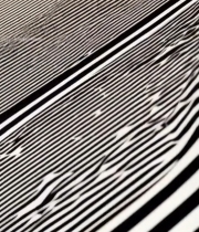  黑白条纹物体特写5521#竖屏 	 