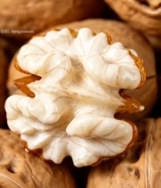  核桃特写素材(2)4548#竖屏 	 