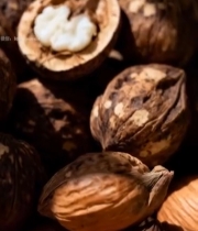  核桃特写素材1732#竖屏 	 