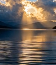  湖面日出自然风光(6)6078#竖屏 	 