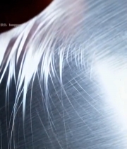  红柚切面特写素材5622#竖屏 	 