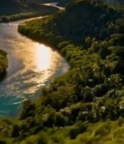  航拍蜿蜒河流与茂密森林4240#竖屏 	 