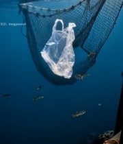  海洋中的塑料垃圾特写2661#竖屏 	 