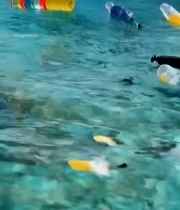  海洋中的塑料垃圾1064#竖屏 	 