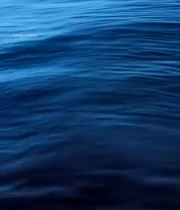  海洋水面涟漪特写4612#竖屏 	 