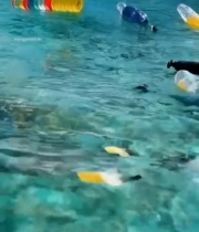  海洋中的塑料垃圾1064#竖屏 	 