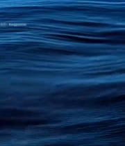 海洋水面涟漪特写4612#竖屏 	 
