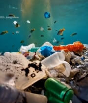  海洋水下塑料垃圾堆积场景3563#竖屏 	 