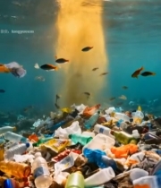  海洋海底塑料垃圾堆积4715#竖屏 	 