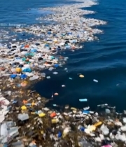  海洋漂浮垃圾景象5559#竖屏 	 