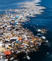  海洋表面漂浮塑料垃圾440#竖屏 	 