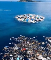  海洋垃圾漂浮全景621#竖屏 	 