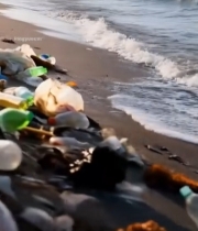  海滩塑料垃圾堆积景象3429#竖屏 	 