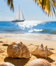  海滩上的贝壳与远处帆船景观(1)3774#竖屏 	 