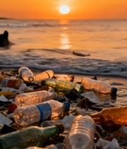  海滩日落时的海洋塑料垃圾7773#竖屏 	 