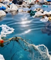  海滩上的海洋塑料垃圾6240#竖屏 	 