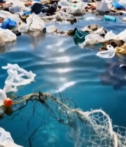  海滩上的海洋塑料垃圾6240#竖屏 	 