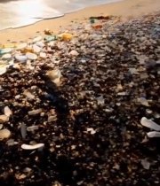  海滩上的废弃玻璃瓶和垃圾5568#竖屏 	 