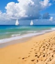  海滩海景与海上帆船素材3915#竖屏 	 