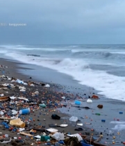  海滩海洋垃圾污染场景(1)4900#竖屏 	 