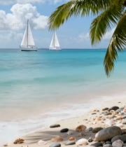  海滩帆船与棕榈树风景6833#竖屏 	 