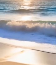  海滩持冲浪板的比基尼女子5916#竖屏 	 