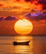  海上夕阳下的小船2445#竖屏 	 