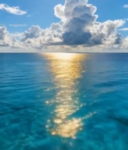  海面阳光照耀自然风光1378#竖屏 	 