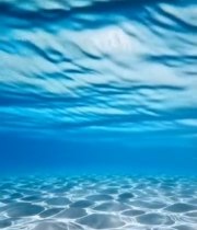  海底清澈海水及水底景象4575#竖屏 	 