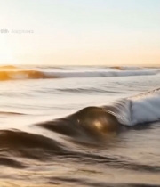  海面波浪日出景象7199#竖屏 	 