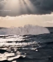  海面鲸鱼尾巴出水瞬间4767#竖屏 	 