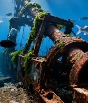  海底锈蚀机械结构与鱼群素材6184#竖屏 	 