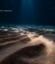  海底阳光照射海沙景象6447#竖屏 	 